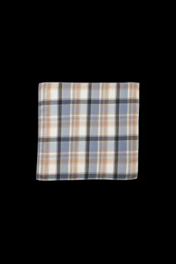 Ari Scarf